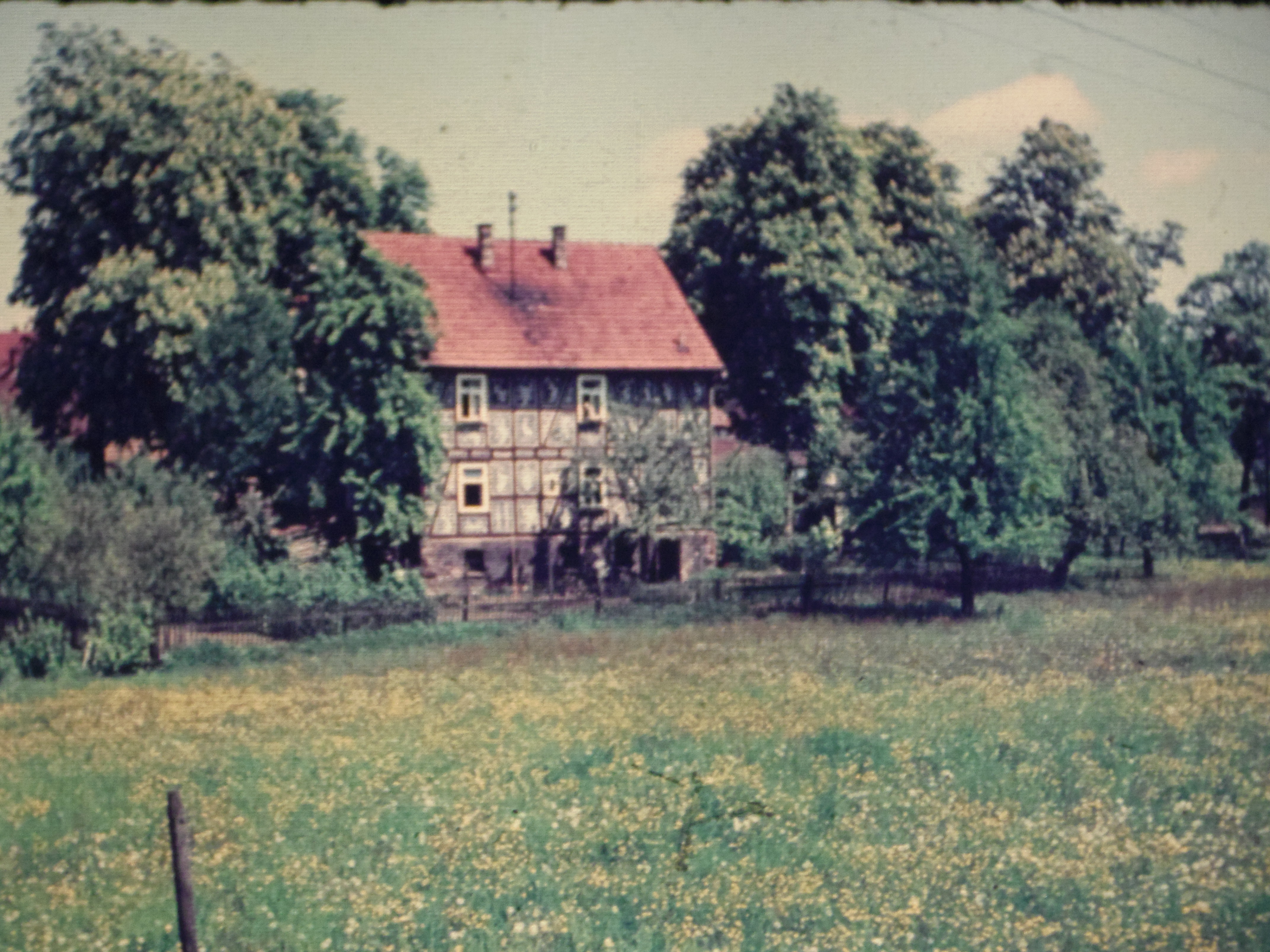 IMGP6427