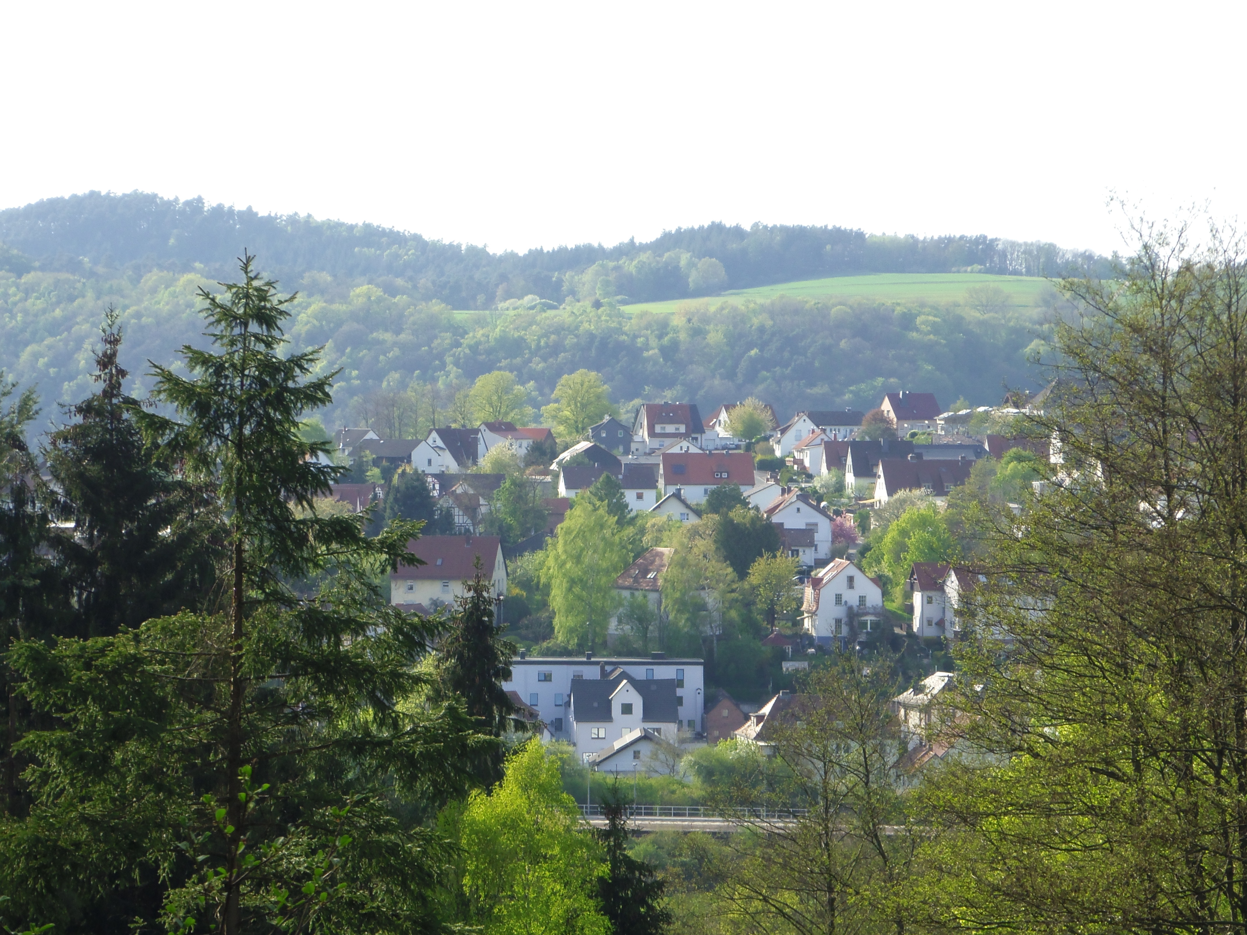 IMGP6297
