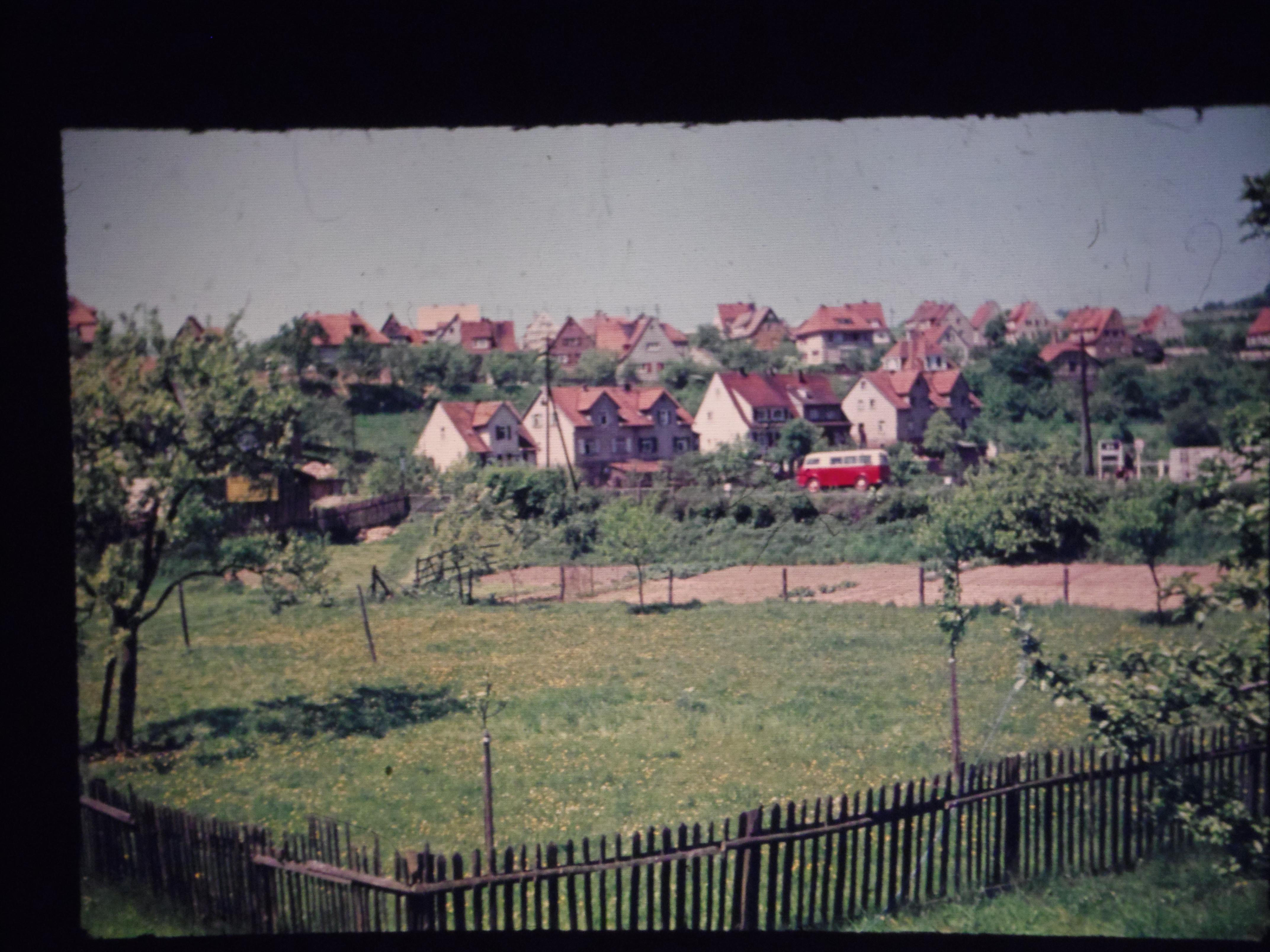 IMGP6421