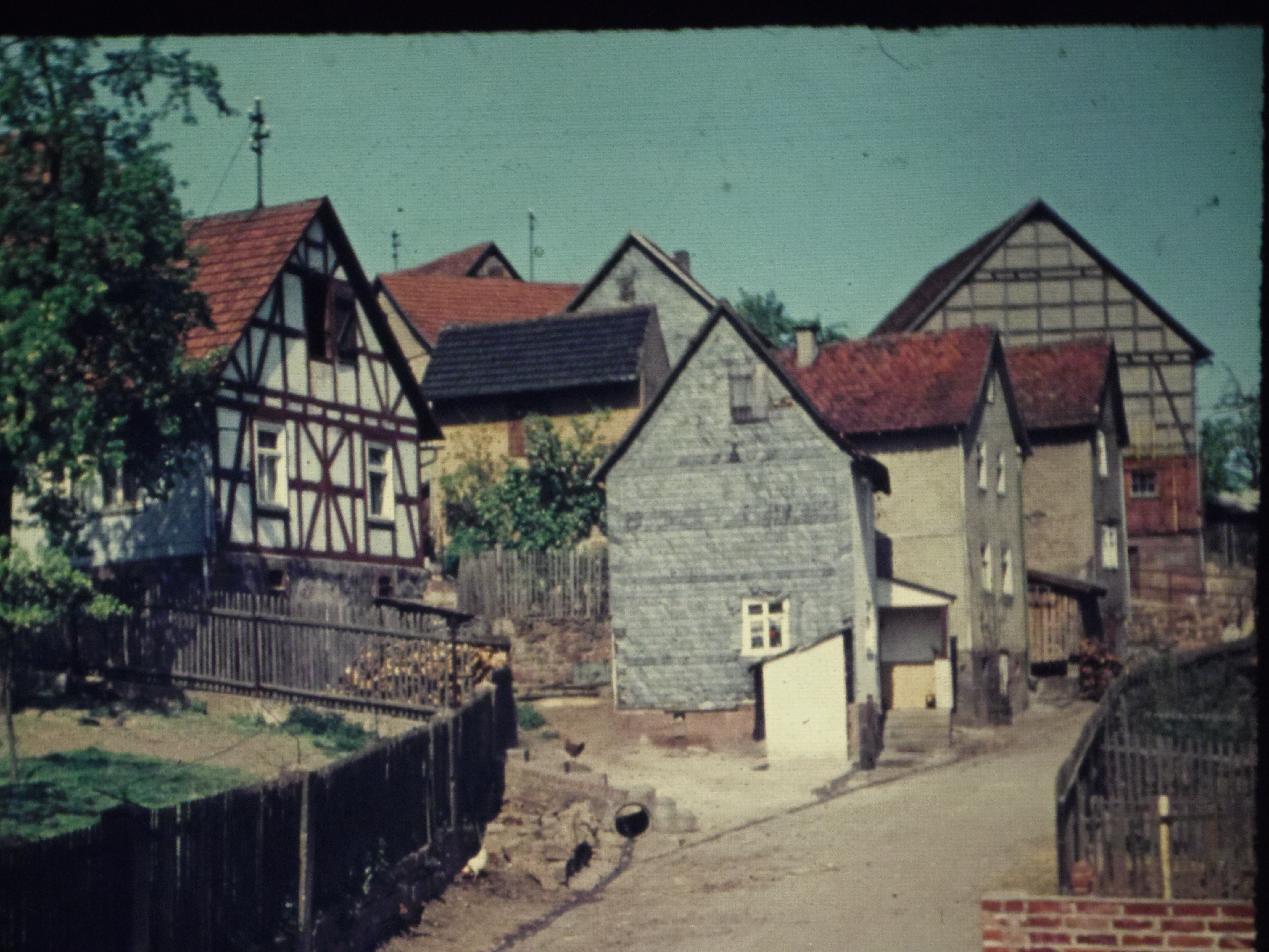 IMGP6428