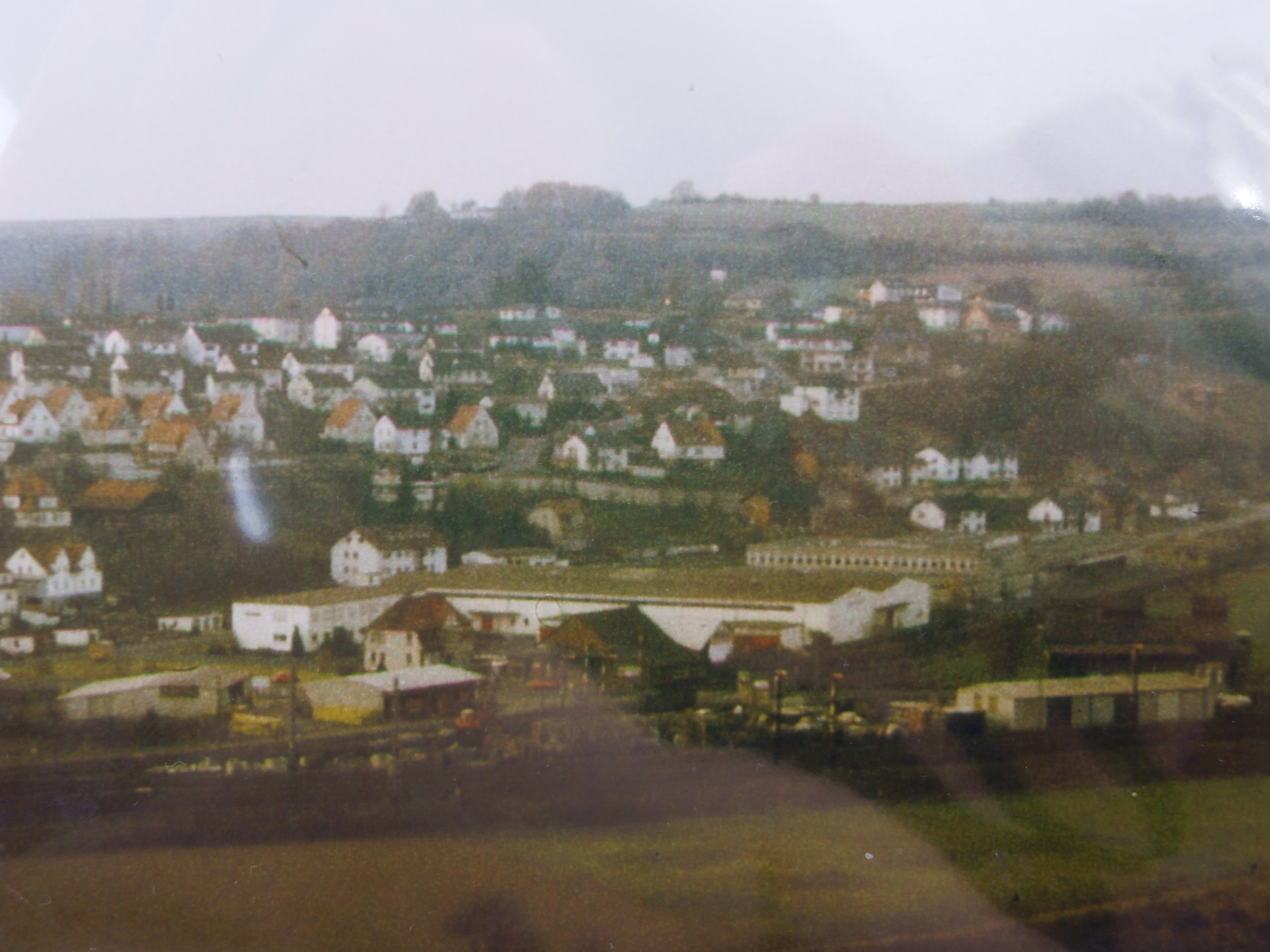 IMGP6814