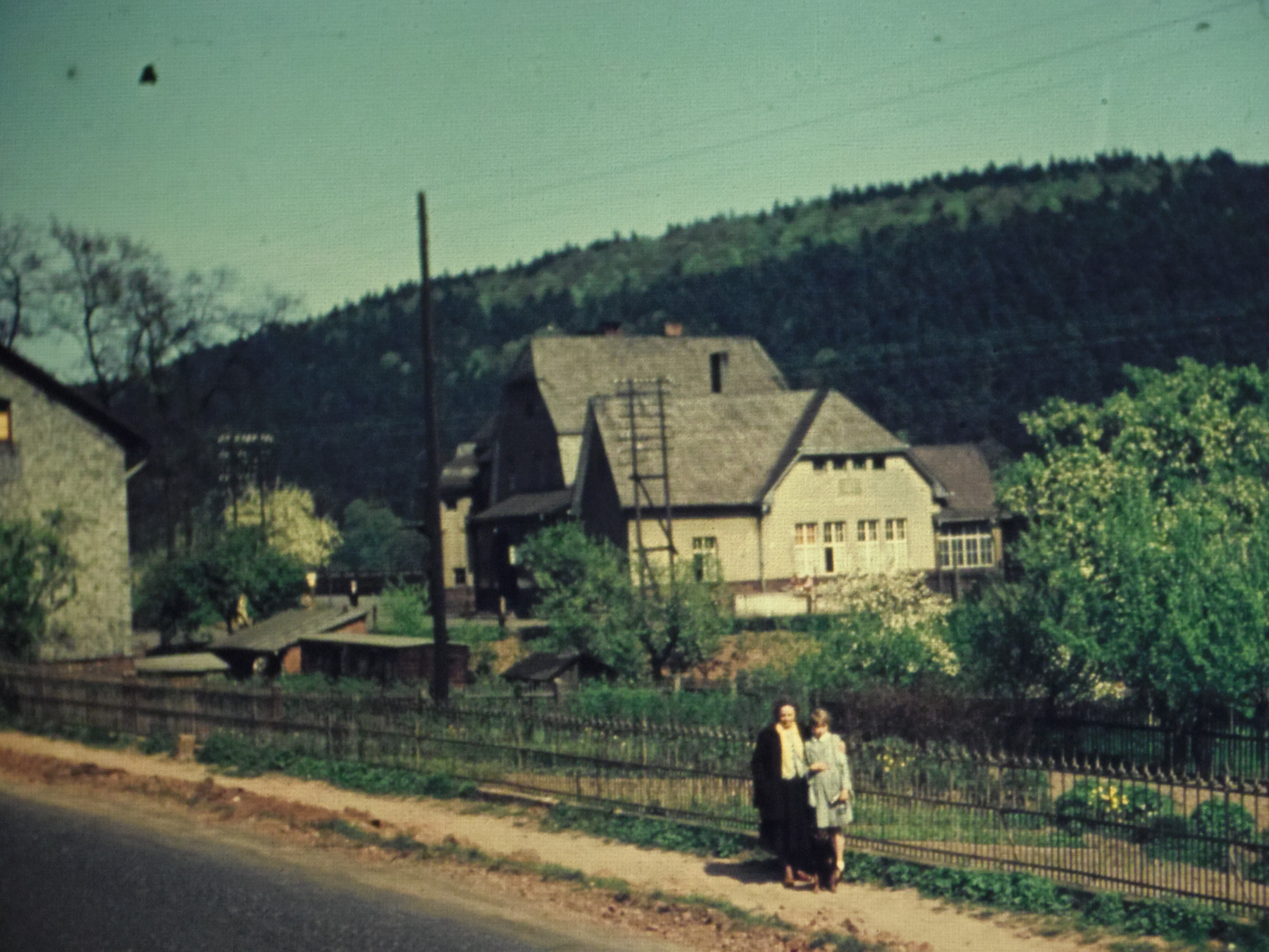 IMGP6426