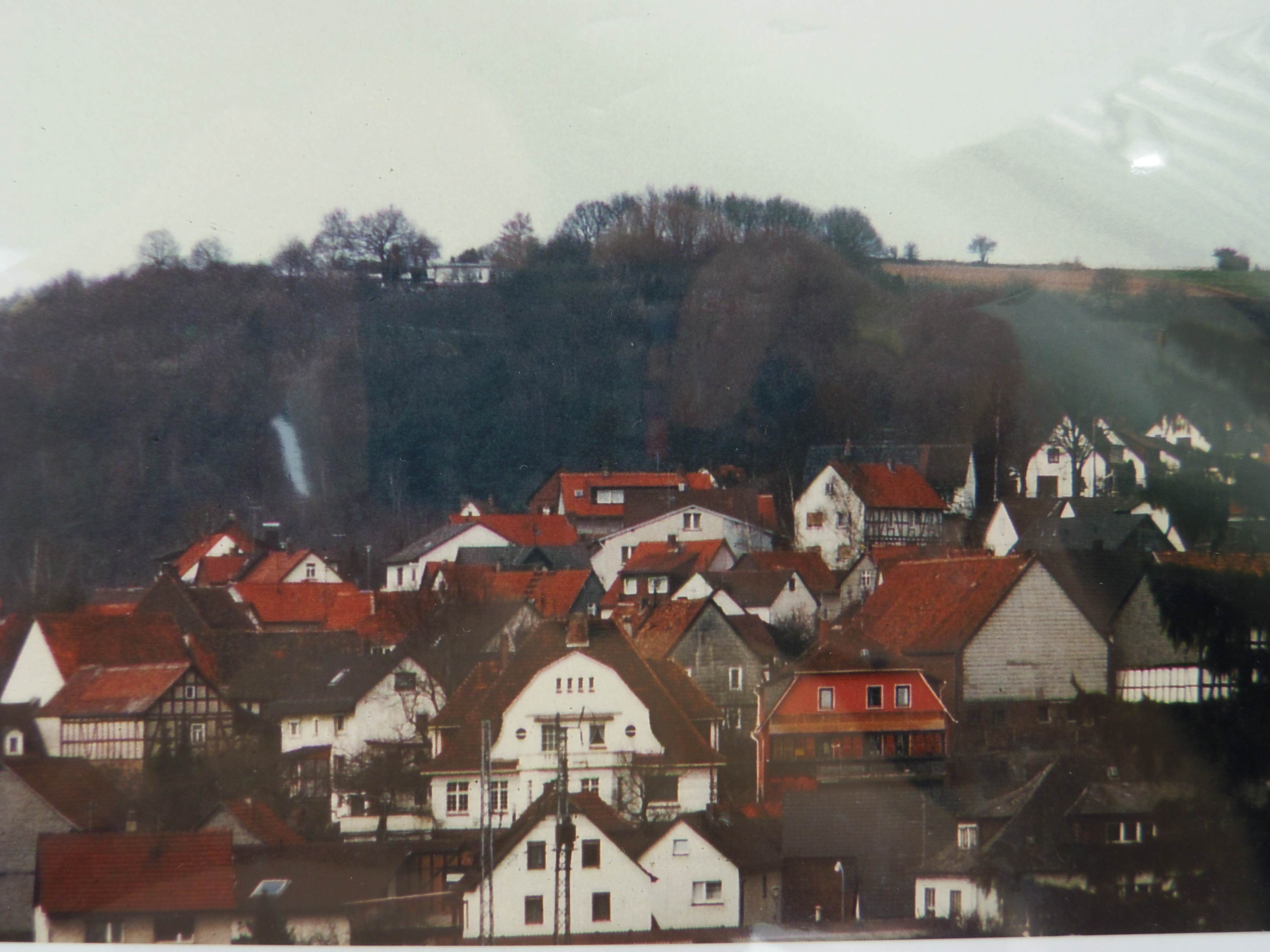 IMGP6816