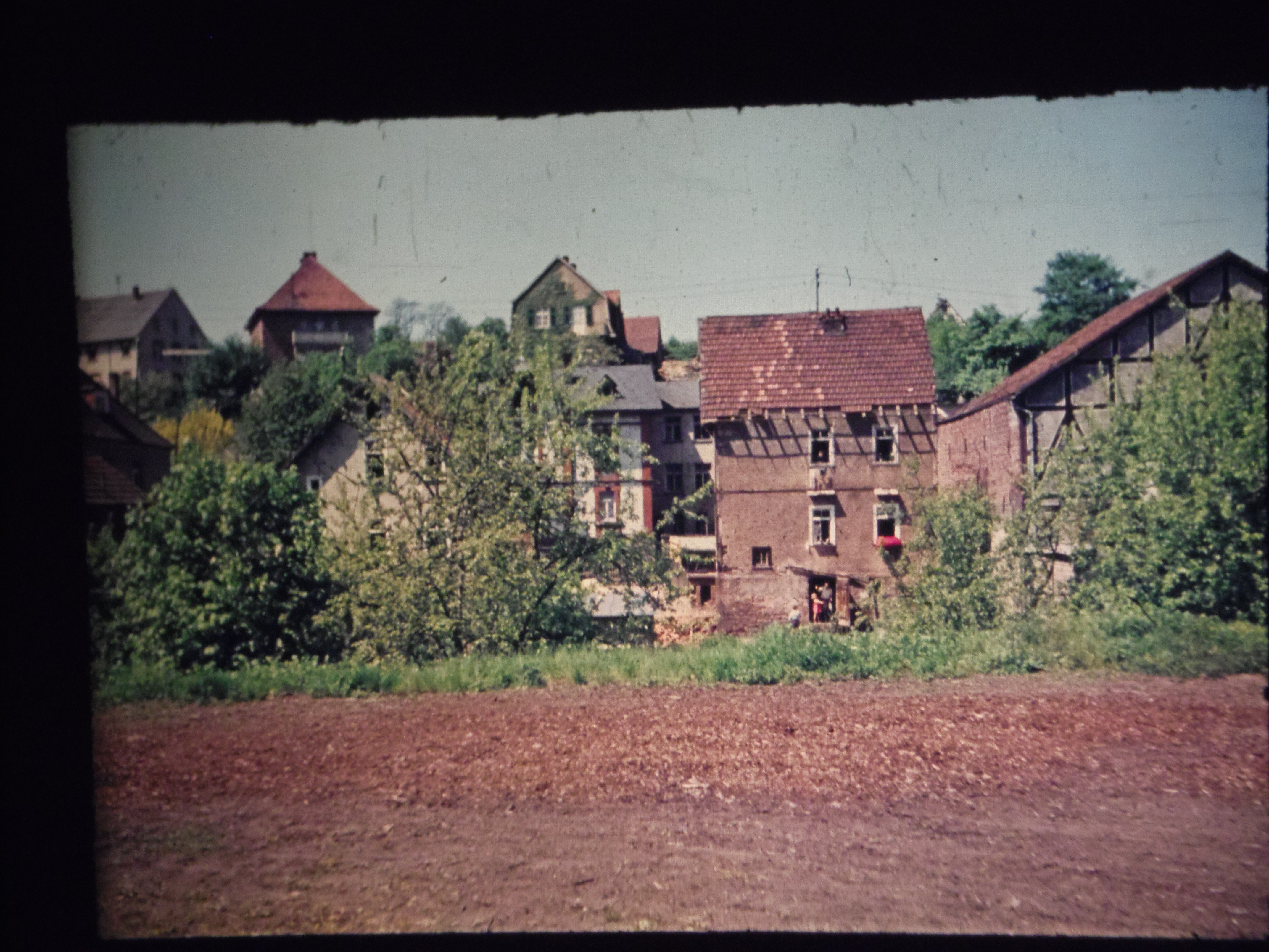IMGP6423